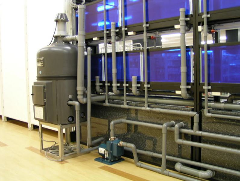 湧清水 ポンプ 池 循環ポンプ 半額 生簀 錦鯉 アロワナ 大型水槽 200v消費電力も低く嬉しいモデルです